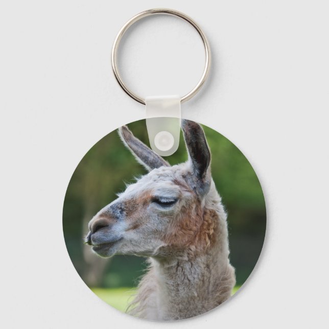 Llama Keyring Schlüsselanhänger (Vorderseite)