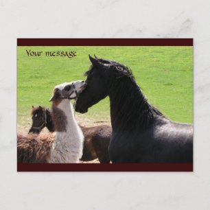 Llama kiss Postkarten