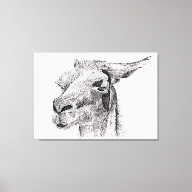 Llama-Liebe Leinwanddruck (Vorderseite)