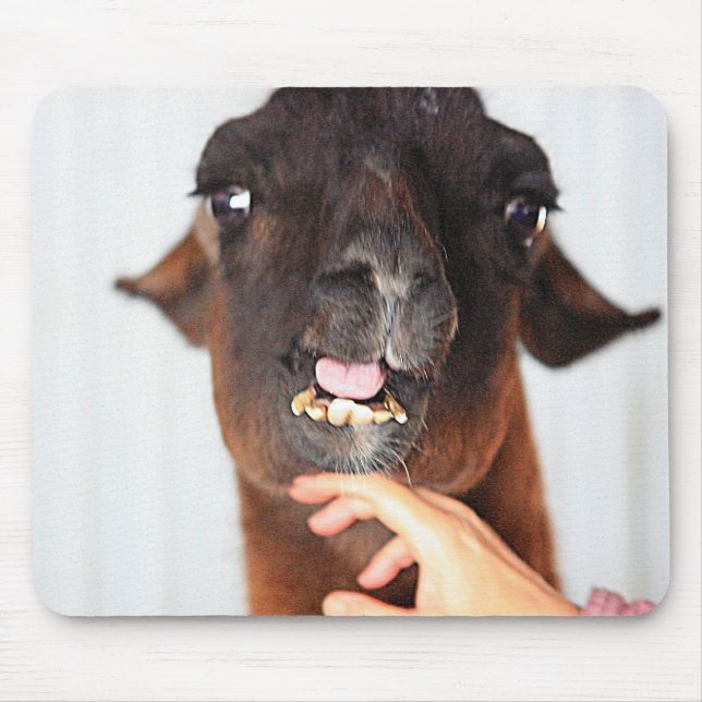 Llama-Liebe Mousepad (Vorne)