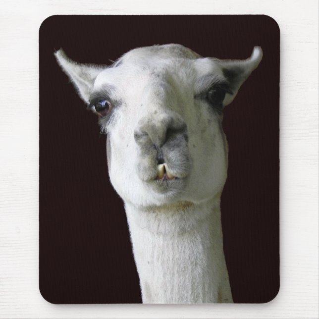Llama Mousepad (Vorne)
