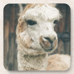 Llama Nah hoch Getränkeuntersetzer