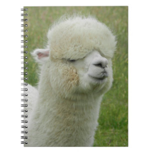 Llama Notizblock