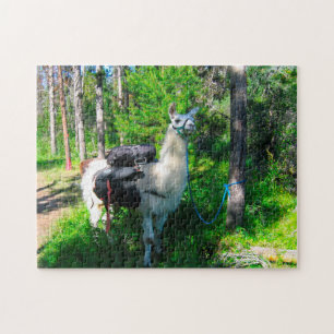 Llama Pack Idaho. Puzzle