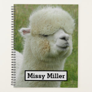 Llama Planer