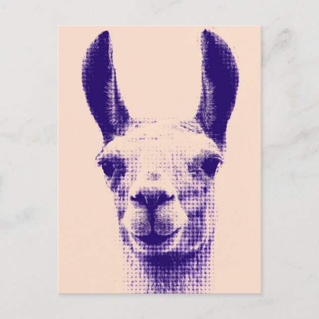Llama Postcard Postkarte (Vorderseite)