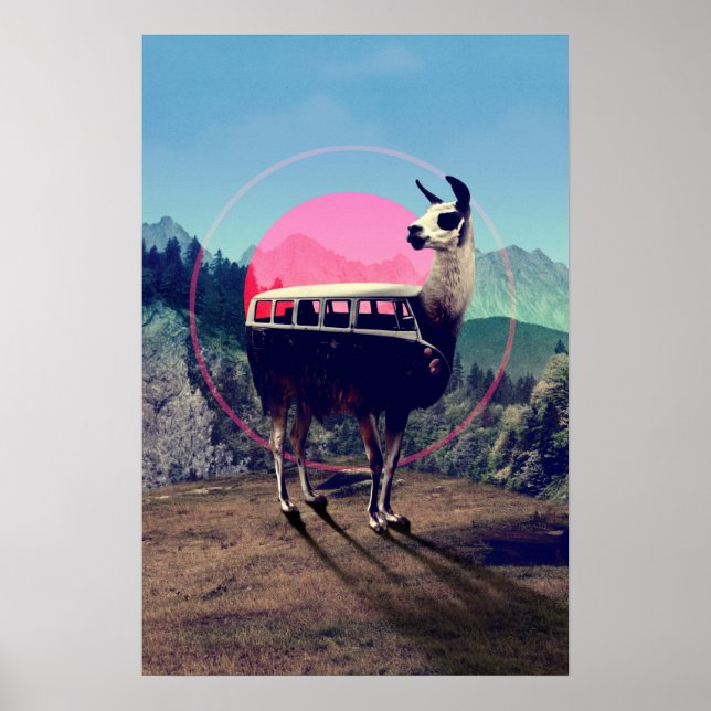 Llama Poster (Vorne)