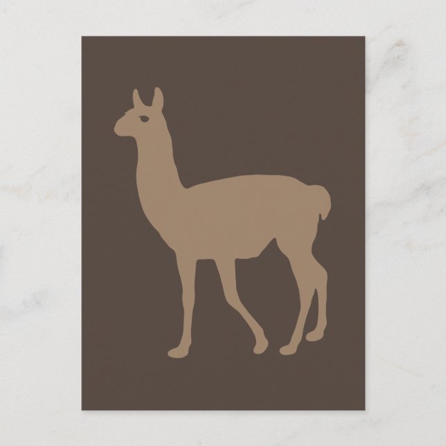 Llama Postkarte (Vorderseite)