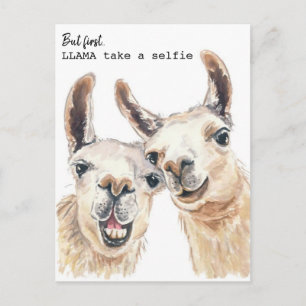 Llama Puns Postcard - Lllama selfie machen Postkarte