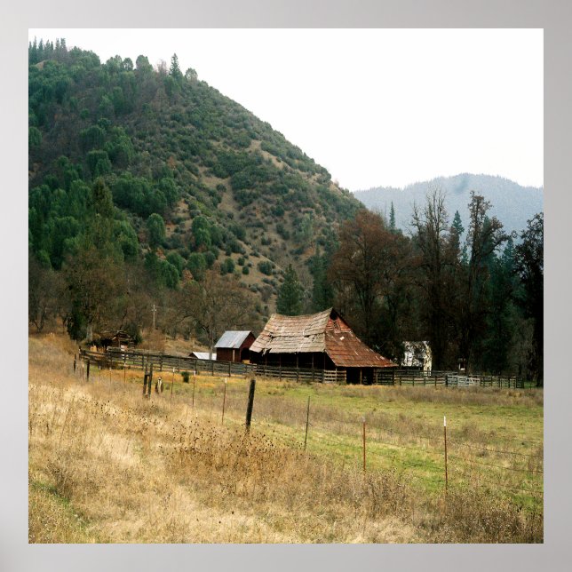 Llama Ranch......... Poster (Vorne)