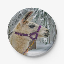 Llama Snow Foto Pappteller
