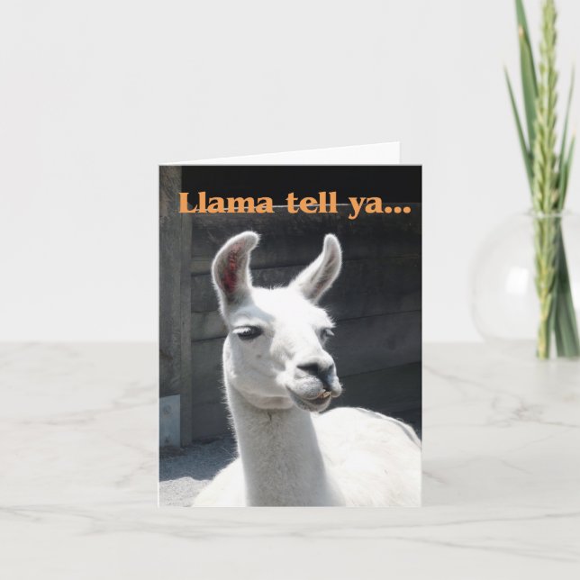 "Llama Tell Ya" Lächelnde Lama Blank Note Card Karte (Vorderseite)