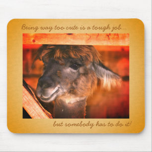 Llama Too Cute Funny Animal  Mousepad