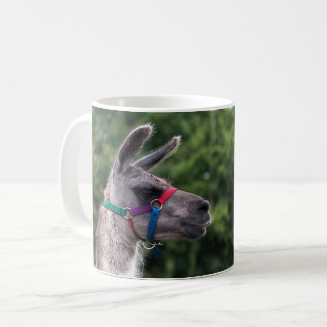 Llama-Überlegenheit Tasse (Vorderseite Links)