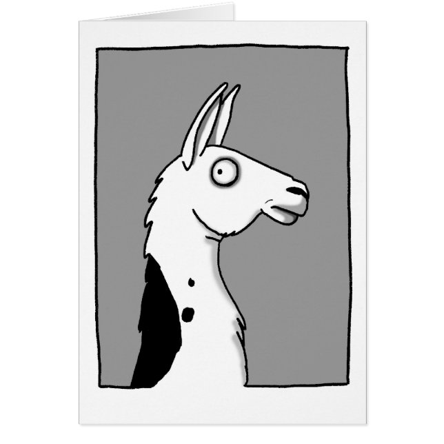 LlamaLlama (Vorne)