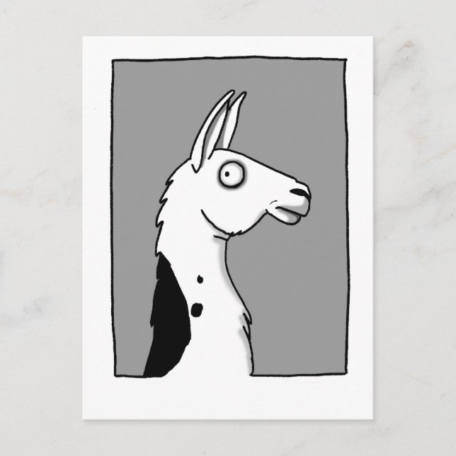 LlamaLlama Postkarte (Vorderseite)