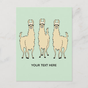 Llamas fügen Sie Ihre eigene Textnachricht hinzu Postkarte