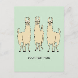 Llamas fügen Sie Ihre eigene Textnachricht hinzu Postkarte