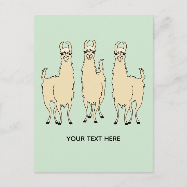 Llamas fügen Sie Ihre eigene Textnachricht hinzu Postkarte (Vorderseite)