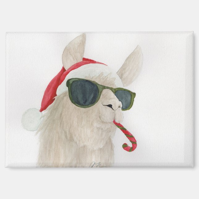 Llamas in Shades: Dezember Magnet 3,5"x2,5" (Vorderseite)