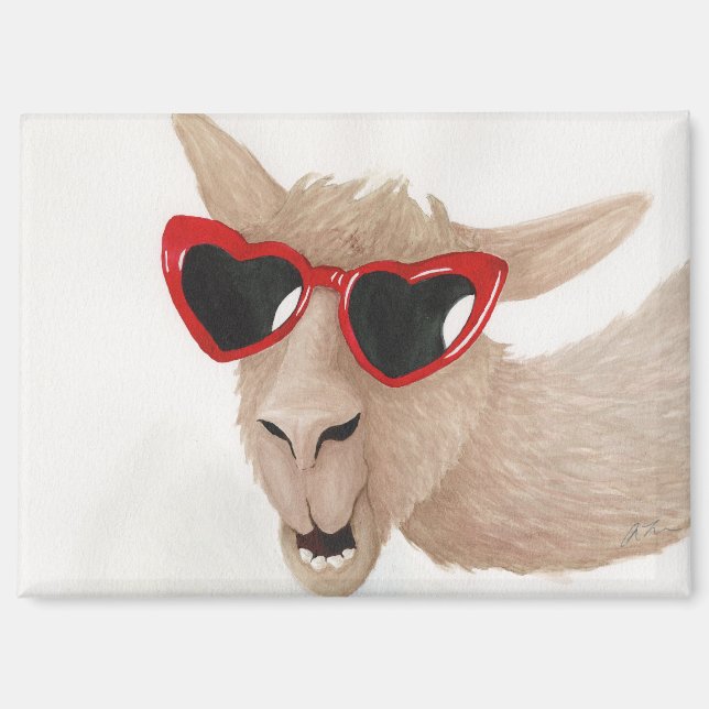 Llamas in Shades: Februar Magnet 3.5"x2.5" (Vorderseite)