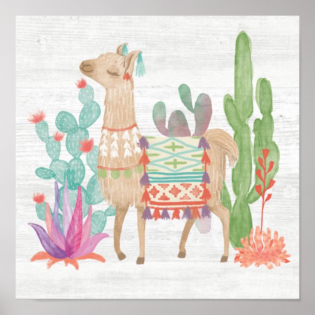 Llamas IV Poster (Vorne)