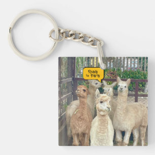 Llamas sind aus Peru auf diesem Schlüsselanhänger
