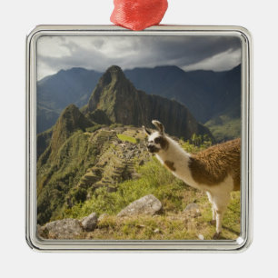 Llamas und ein Ausblick auf Machu Picchu, Silbernes Ornament