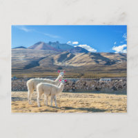 Llamitas en el Salar de Uyuni, Bolivien.