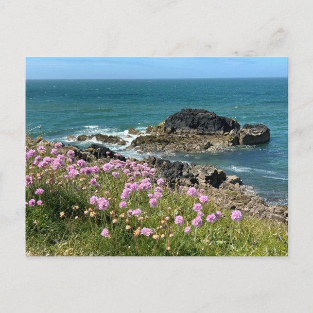 Llanddwyn Anglesey  Postkarte (Vorderseite)