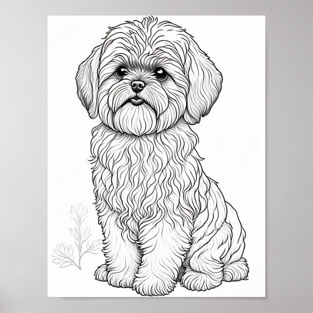 Llasa Apso Dog Aduloring Poster (Vorne)