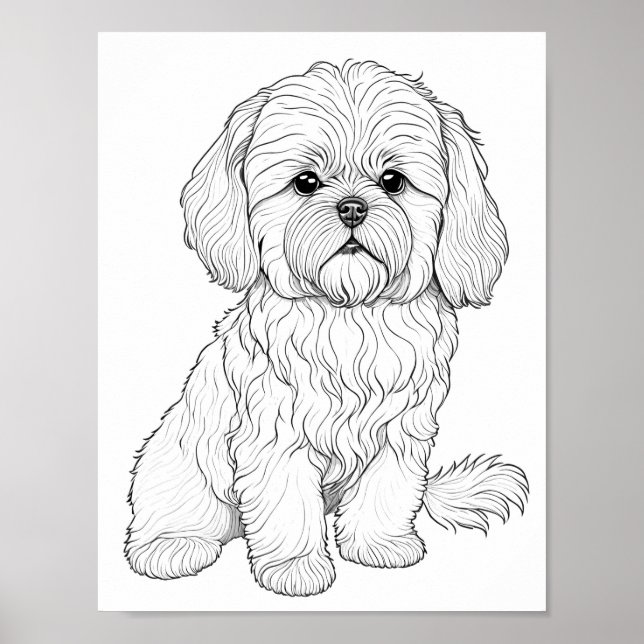 Llasa Apso Dog Aduloring Poster (Vorne)