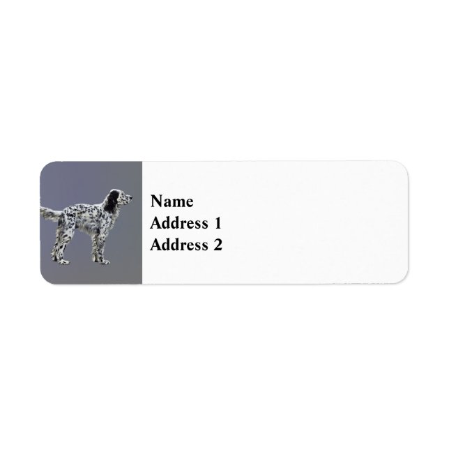 LLewellin Setter (Vorne)