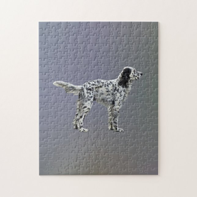 LLewellin Setter Puzzle (Vertikal)