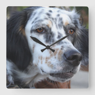 Llewellin Setter Wall Clock Quadratische Wanduhr