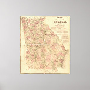Lloyd topographische Karte von Georgia (1864) Leinwanddruck