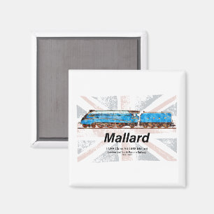 LNER-Klasse A4-Profil für Mallard-Lokomotive mit F Magnet