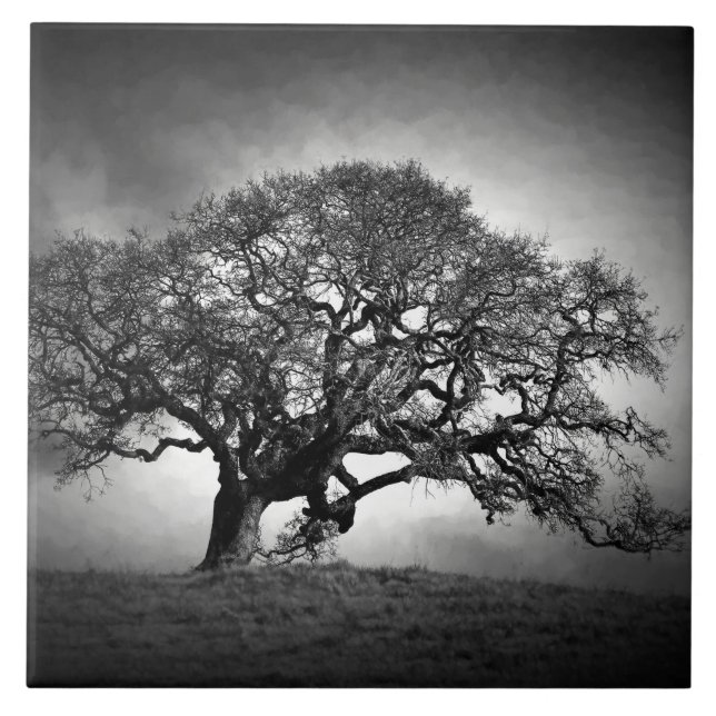 LOAN OAK BAUM FLIESE (Vorderseite)