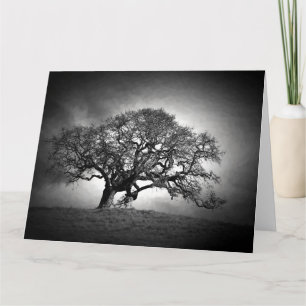 LOAN OAK TREE KARTE