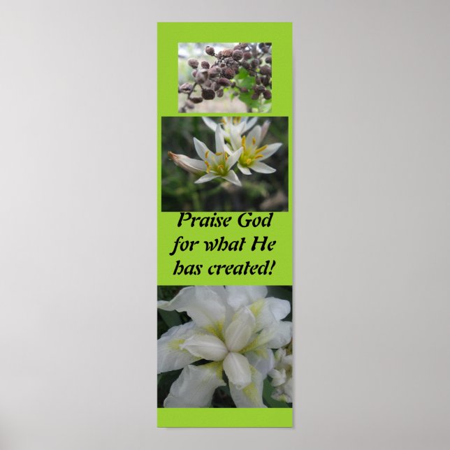 Lob Gott für das, was er geschaffen hat! Poster (Vorne)