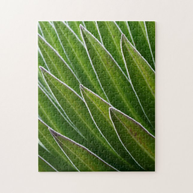 Lobelia (Lobelia telekii)| Kenia, Afrika Puzzle (Vertikal)