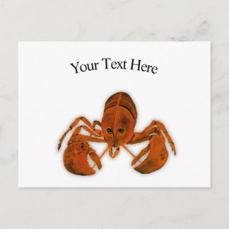 Lobster Postcard Postkarte
