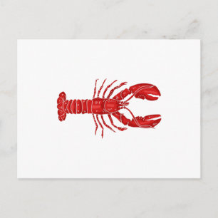 Lobster Vector Postkarte