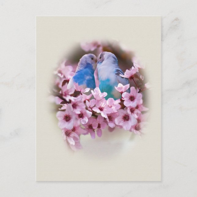 Locarno Postkarte (Vorderseite)