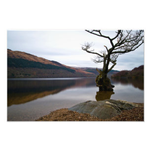 Loch Lomond, Foto in Schottland