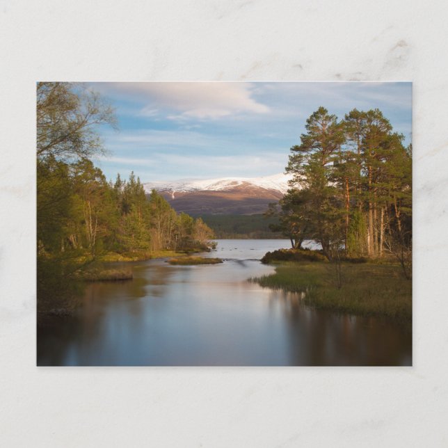 Loch Morlich Postcard Postkarte (Vorderseite)