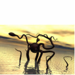 Loch- Nessmonster! (Wassermonster) Freistehende Fotoskulptur<br><div class="desc">3d übertragen Bild des alien ScifI mit Sonnenuntergang Loch- Nessmonster! Wassermonster   Textumbau yelow Planet</div>