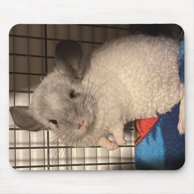 Locken "Curly" Chinchilla Mousepad (Vorne)