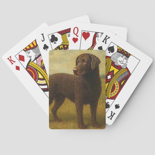 Lockenförmiger Küsten-Retriever Spielkarten (Rückseite)