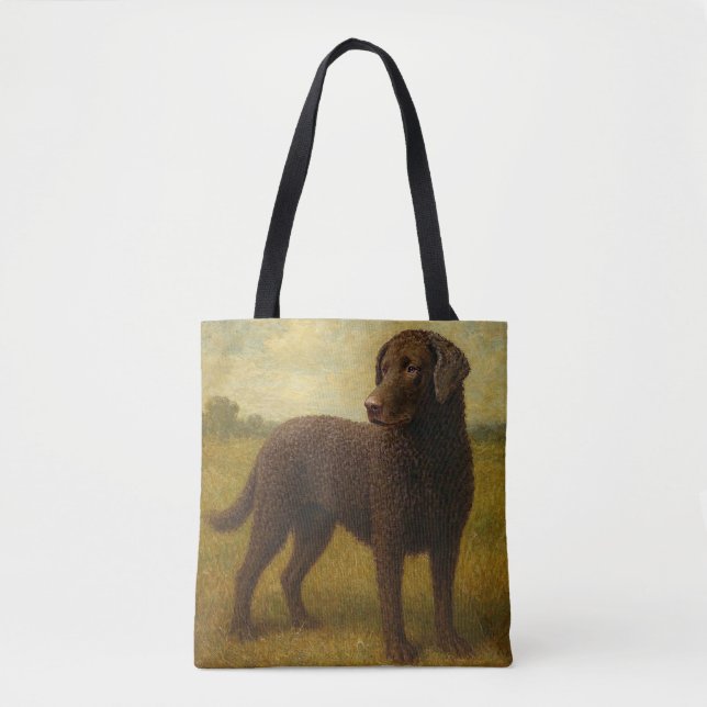 Lockenhaar-Retriever (Vorderseite)